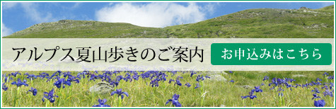 アルプス夏山歩きのご案内